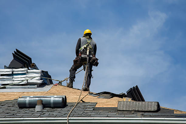 Professional Roof Replacement technician working in Camden, OH